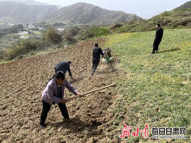 陇南3.jpg