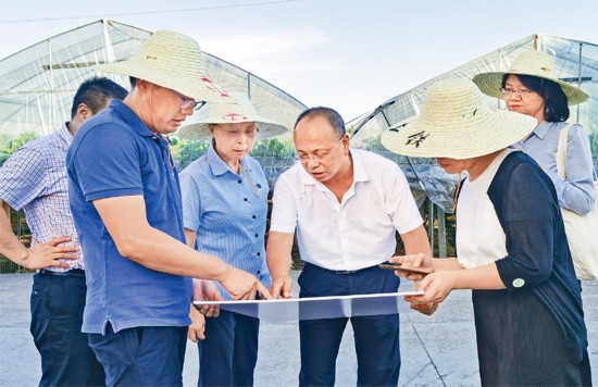 圖為2022年7月，徐利民（右三）和相關(guān)專家實(shí)地察看上山遺址博物館選址區(qū)塊。 張國(guó)萍/攝