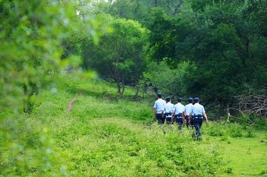 張家川公安“三舉措”撐起生態(tài)安全“保護傘”5.jpg