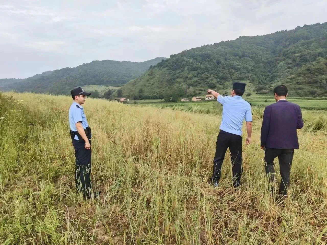 張家川公安“三舉措”撐起生態(tài)安全“保護傘”9.jpg