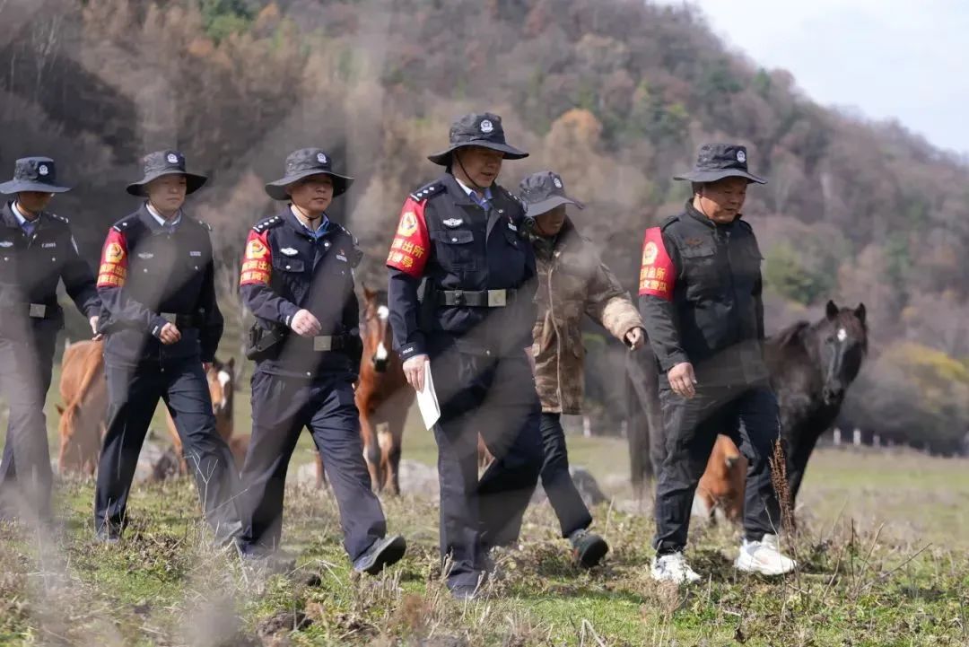 【现代警务探索】“生态警务”绘就绿水青山“平安色”2.jpg