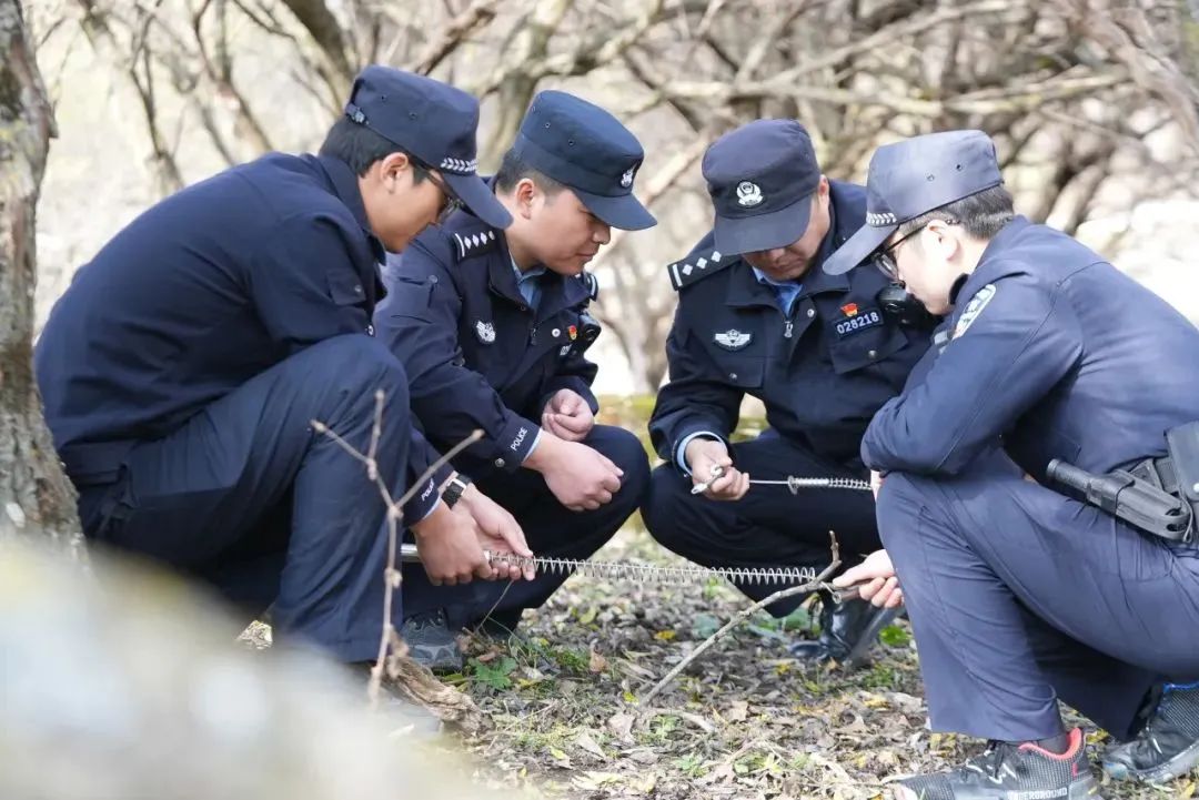 【现代警务探索】“生态警务”绘就绿水青山“平安色”3.jpg