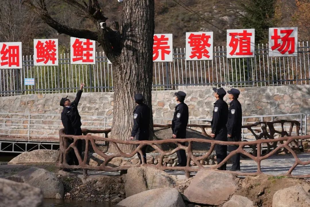 【现代警务探索】“生态警务”绘就绿水青山“平安色”5.jpg