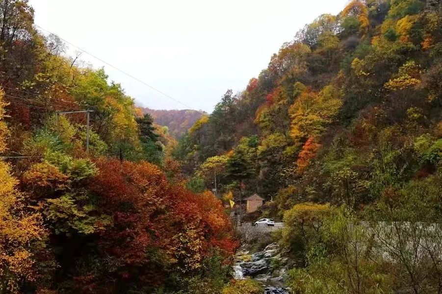 【新春走基层】“生态警务”守护青山绿水，“警”色别样“美”.jpg