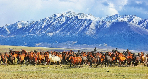 20251107_004_01_57.jpg 20251107_004_01_57.jpg